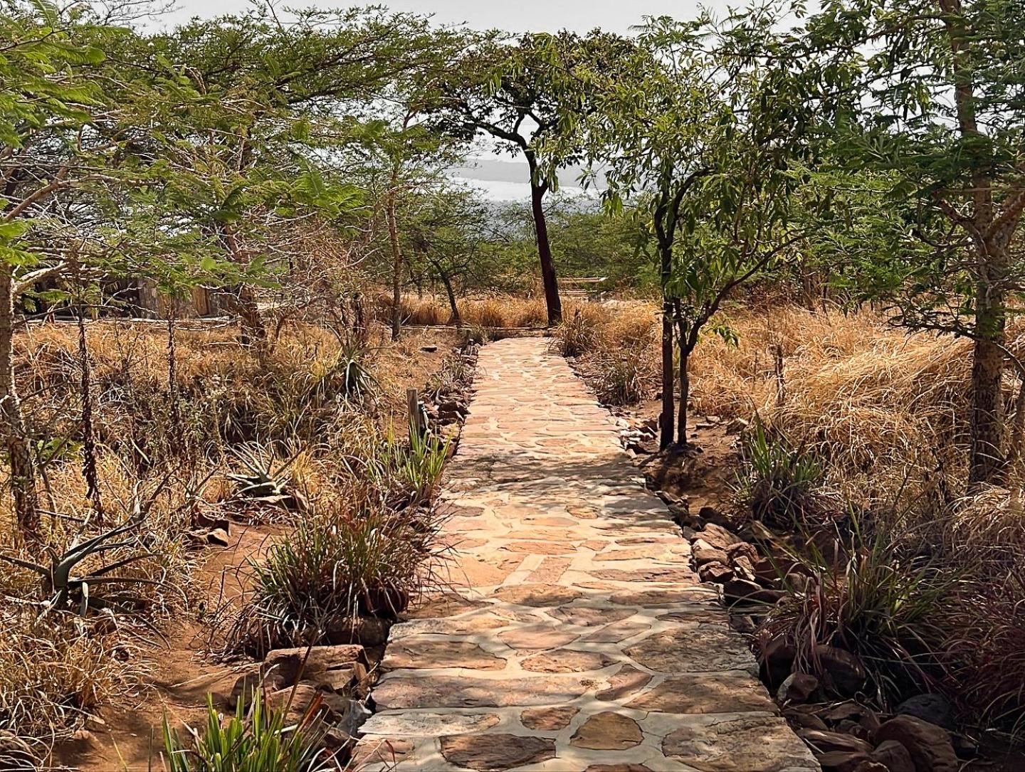 Akagera Rhino Lodge Rwinkwavu Kültér fotó